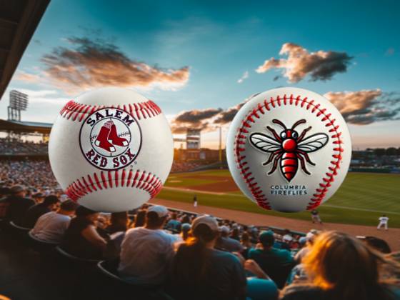 Salem Red Sox at Columbia Fireflies